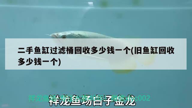 二手鱼缸过滤桶回收多少钱一个(旧鱼缸回收多少钱一个) 2024第28届中国国际宠物水族展览会CIPS（长城宠物展2024 CIPS）