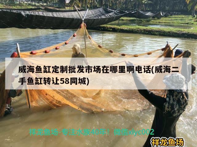 威海鱼缸定制批发市场在哪里啊电话(威海二手鱼缸转让58同城) 冲氧泵