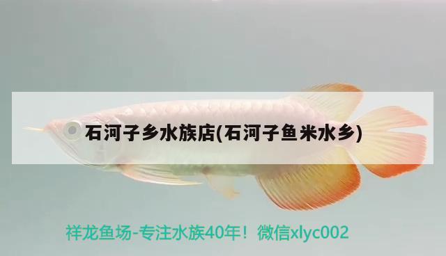 石河子乡水族店(石河子鱼米水乡)