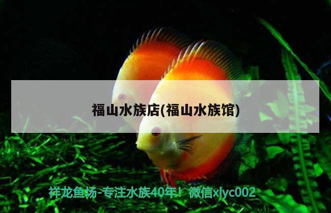 福山水族店(福山水族馆) 广州观赏鱼鱼苗批发市场