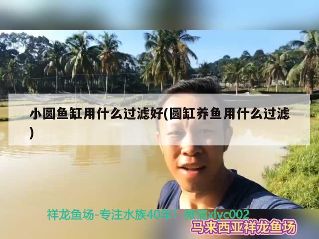 小圆鱼缸用什么过滤好(圆缸养鱼用什么过滤)