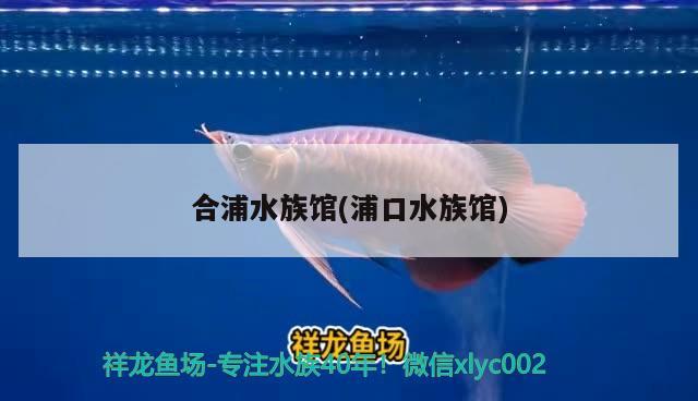 合浦水族馆(浦口水族馆)