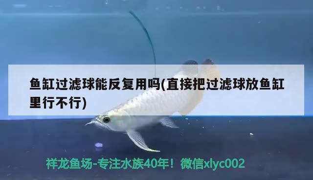 鱼缸过滤球能反复用吗(直接把过滤球放鱼缸里行不行) 鱼缸风水