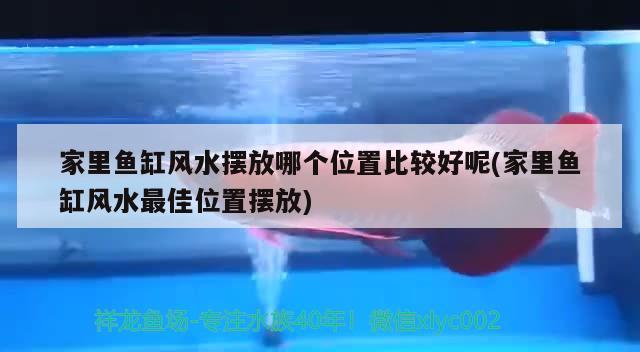 家里鱼缸风水摆放哪个位置比较好呢(家里鱼缸风水最佳位置摆放) 鱼缸风水