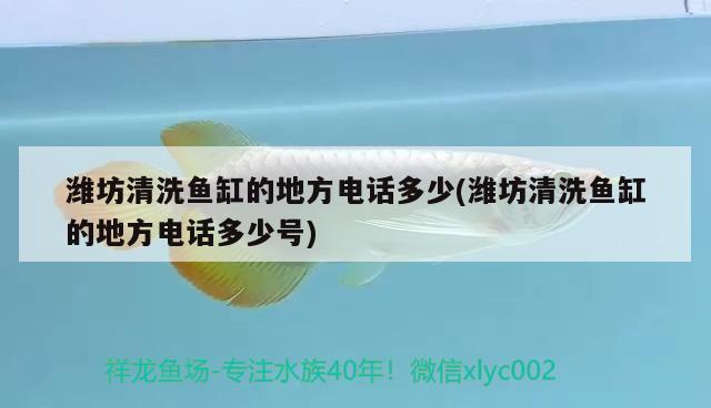 潍坊清洗鱼缸的地方电话多少(潍坊清洗鱼缸的地方电话多少号) 印尼小红龙