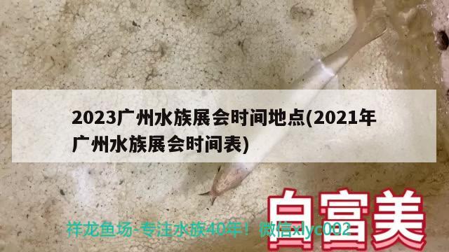 2023广州水族展会时间地点(2021年广州水族展会时间表) 水族展会