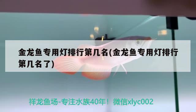 金龙鱼专用灯排行第几名(金龙鱼专用灯排行第几名了) 鱼缸水泵