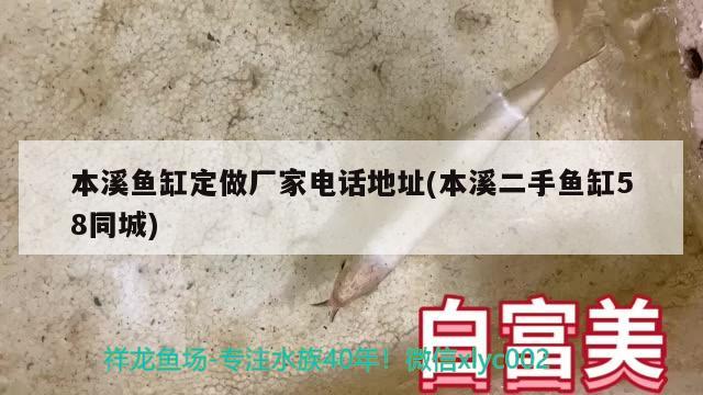 本溪鱼缸定做厂家电话地址(本溪二手鱼缸58同城) 眼斑鱼