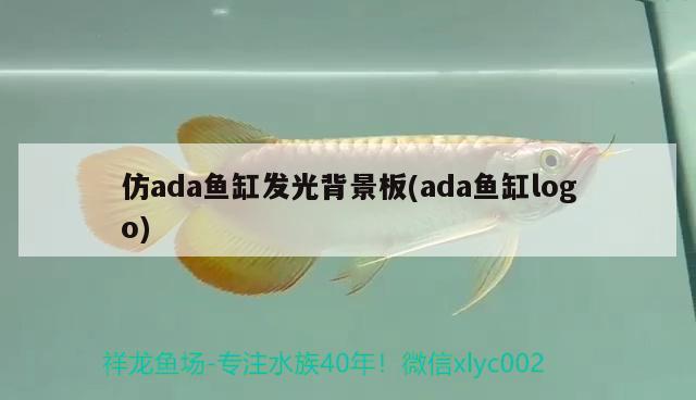 仿ada鱼缸发光背景板(ada鱼缸logo) 白子银版鱼