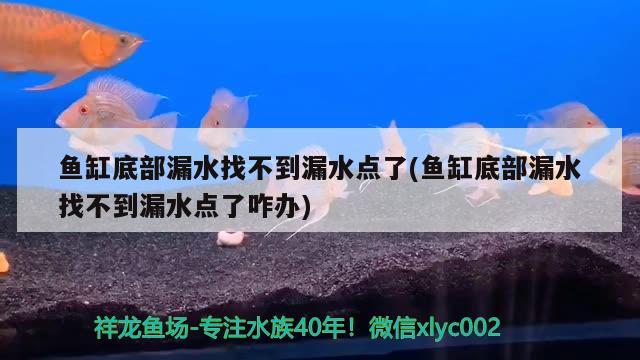 鱼缸底部漏水找不到漏水点了(鱼缸底部漏水找不到漏水点了咋办) 申古银版鱼