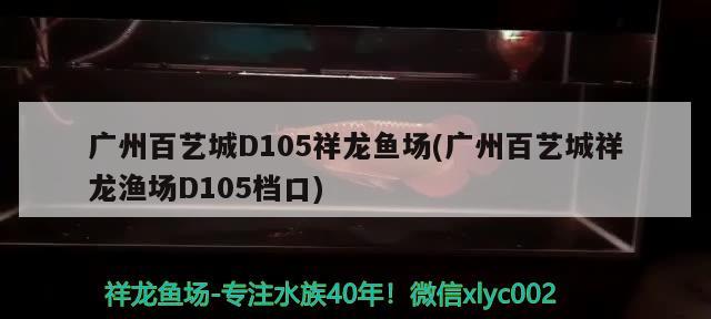 广州百艺城D105祥龙鱼场(广州百艺城祥龙渔场D105档口)