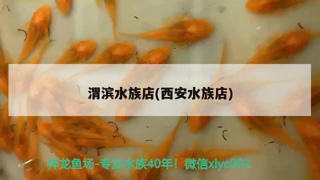 渭滨水族店(西安水族店)