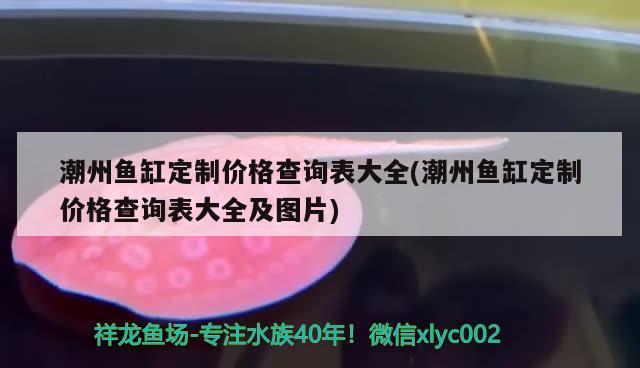 潮州鱼缸定制价格查询表大全(潮州鱼缸定制价格查询表大全及图片) 小型观赏鱼