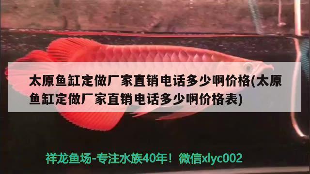 太原鱼缸定做厂家直销电话多少啊价格(太原鱼缸定做厂家直销电话多少啊价格表) 硝化细菌