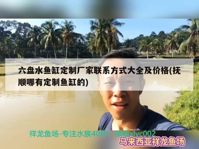 六盘水鱼缸定制厂家联系方式大全及价格(抚顺哪有定制鱼缸的) B级过背金龙鱼