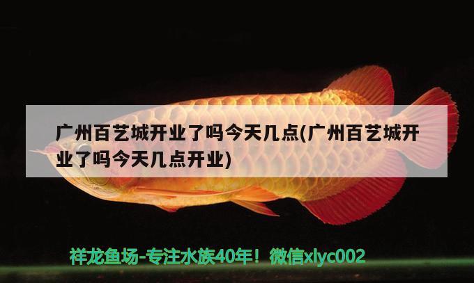 广州百艺城开业了吗今天几点(广州百艺城开业了吗今天几点开业) 帝王迷宫鱼