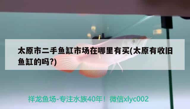 太原市二手鱼缸市场在哪里有买(太原有收旧鱼缸的吗？) 金龙鱼粮