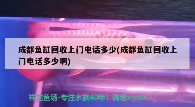 成都鱼缸回收上门电话多少(成都鱼缸回收上门电话多少啊)