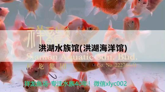 洪湖水族馆(洪湖海洋馆) 鱼缸净水剂