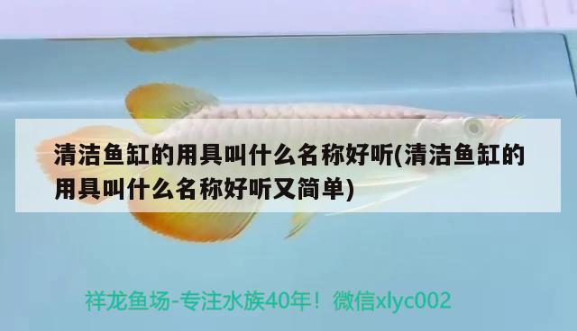 清洁鱼缸的用具叫什么名称好听(清洁鱼缸的用具叫什么名称好听又简单)