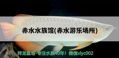 赤水水族馆(赤水游乐场所)