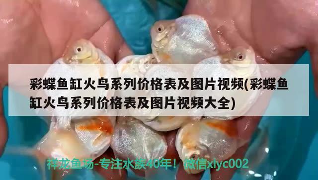 彩蝶鱼缸火鸟系列价格表及图片视频(彩蝶鱼缸火鸟系列价格表及图片视频大全) 柠檬鲫