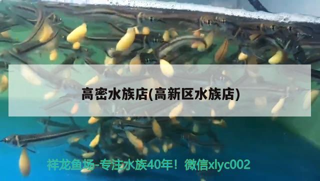 高密水族店(高新区水族店) 鱼缸水泵