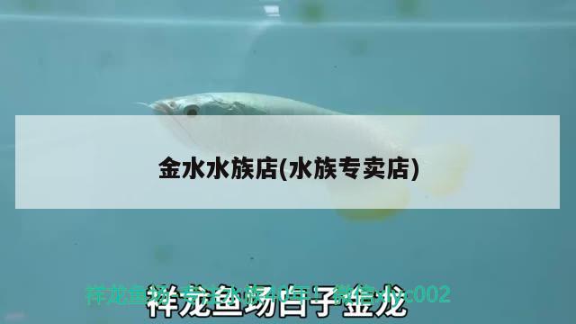 金水水族店(水族专卖店)