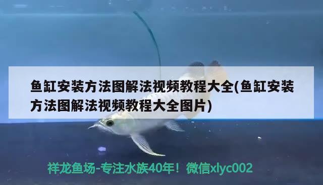 鱼缸安装方法图解法视频教程大全(鱼缸安装方法图解法视频教程大全图片)