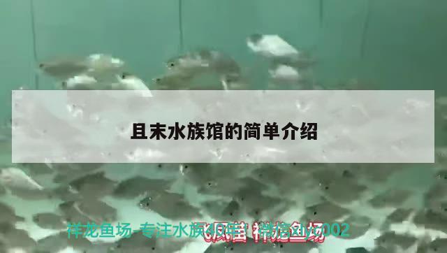 且末水族馆的简单介绍 锦鲤鱼