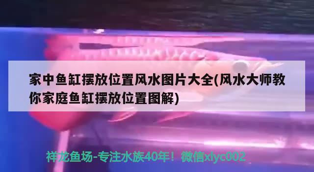 家中鱼缸摆放位置风水图片大全(风水大师教你家庭鱼缸摆放位置图解) 鱼缸风水