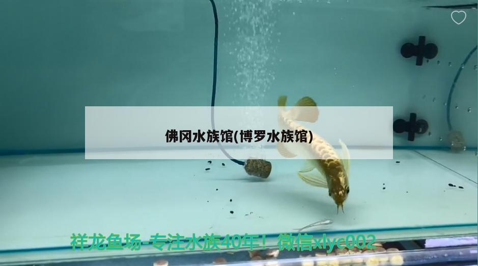 佛冈水族馆(博罗水族馆)