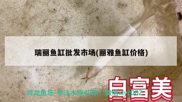 瑞丽鱼缸批发市场(丽雅鱼缸价格) 七彩神仙鱼