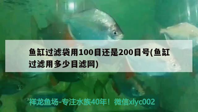 鱼缸过滤袋用100目还是200目号(鱼缸过滤用多少目滤网)