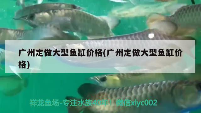 广州定做大型鱼缸价格(广州定做大型鱼缸价格)