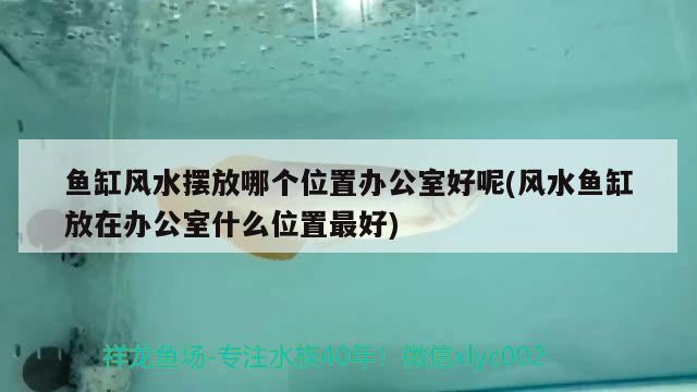 鱼缸风水摆放哪个位置办公室好呢(风水鱼缸放在办公室什么位置最好) 鱼缸风水