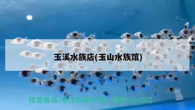 玉溪水族店(玉山水族馆) 养鱼知识