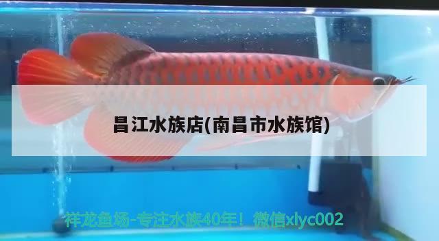 昌江水族店(南昌市水族馆) 祥龙鱼场