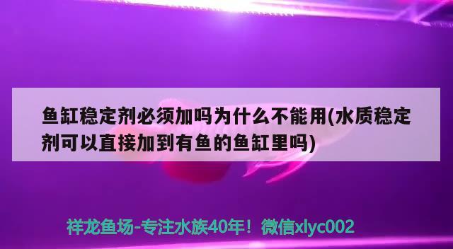 鱼缸稳定剂必须加吗为什么不能用(水质稳定剂可以直接加到有鱼的鱼缸里吗) 虎斑恐龙鱼