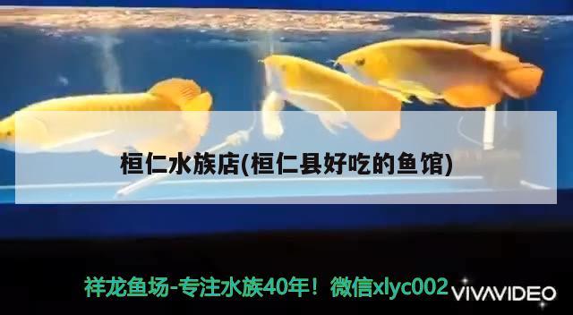 桓仁水族店(桓仁县好吃的鱼馆) 水族世界