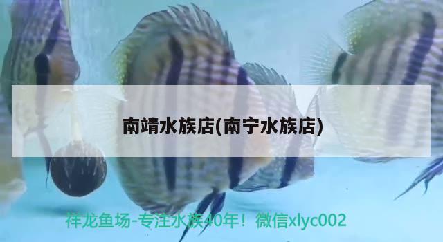 南靖水族店(南宁水族店) 撒旦鸭嘴鱼