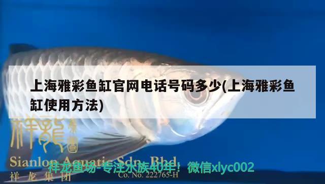 上海雅彩鱼缸官网电话号码多少(上海雅彩鱼缸使用方法) 鱼粮鱼药