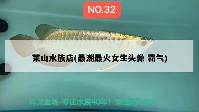 莱山水族店(最潮最火女生头像霸气) 过背金龙鱼