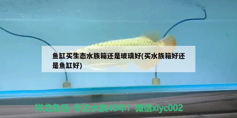 鱼缸买生态水族箱还是玻璃好(买水族箱好还是鱼缸好)