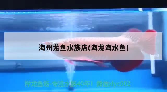 海州龙鱼水族店(海龙海水鱼) 海水鱼