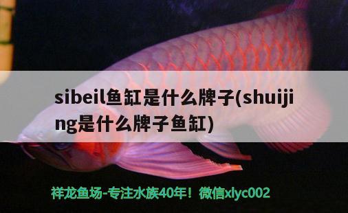 sibeil鱼缸是什么牌子(shuijing是什么牌子鱼缸)