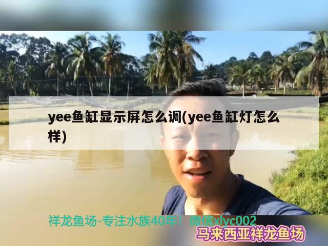 yee鱼缸显示屏怎么调(yee鱼缸灯怎么样) yee