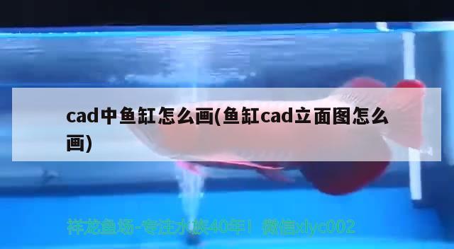 cad中鱼缸怎么画(鱼缸cad立面图怎么画) 申古三间鱼