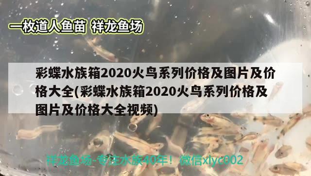 彩蝶水族箱2020火鸟系列价格及图片及价格大全(彩蝶水族箱2020火鸟系列价格及图片及价格大全视频) 鱼缸/水族箱