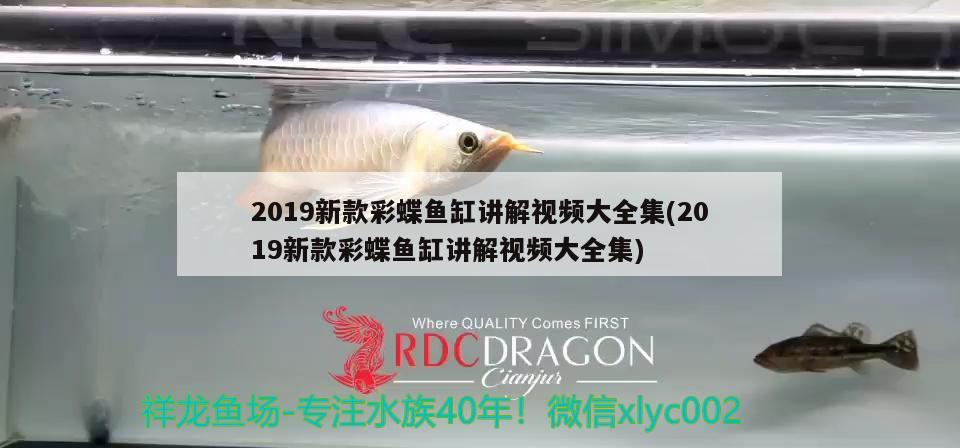 2019新款彩蝶鱼缸讲解视频大全集(2019新款彩蝶鱼缸讲解视频大全集)